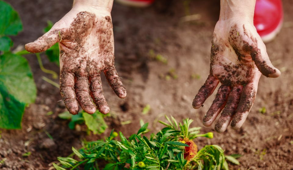 protect your hands while gardening